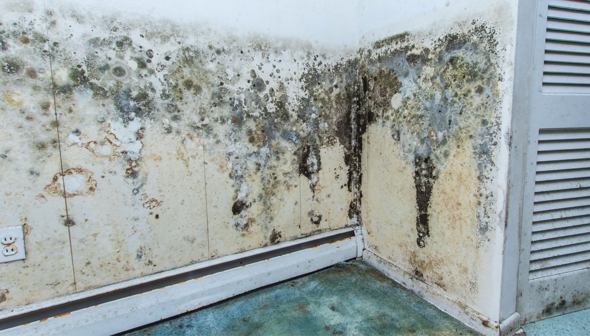 Mold Damage Odor Control Services inSalt Lake City