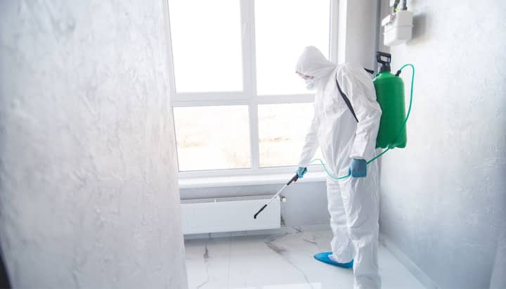 Mold Inspection Services inSalt Lake City